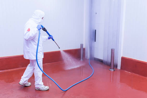 Best Soft Washing  in San Antonio Heights, CA
